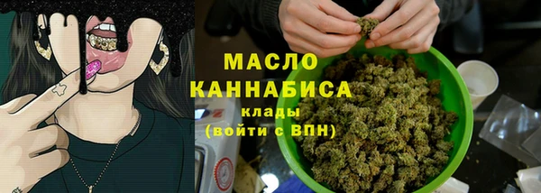 гидра Абаза