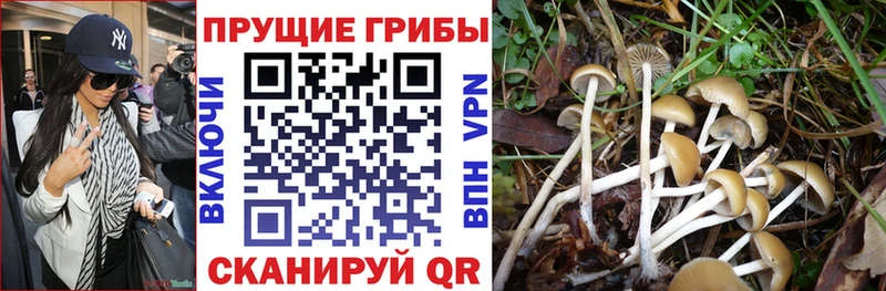 Галлюциногенные грибы GOLDEN TEACHER Сочи