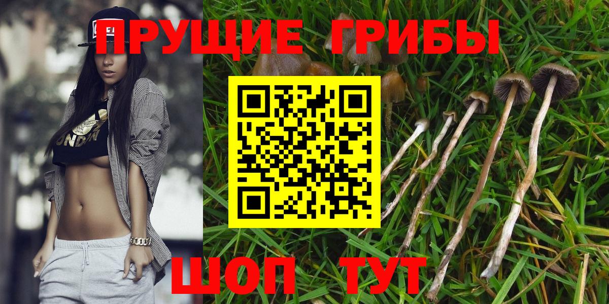 Сочи  Псилоцибиновые грибы GOLDEN TEACHER  Галлюциногенные грибы Psilocybe  Вход с VPN 