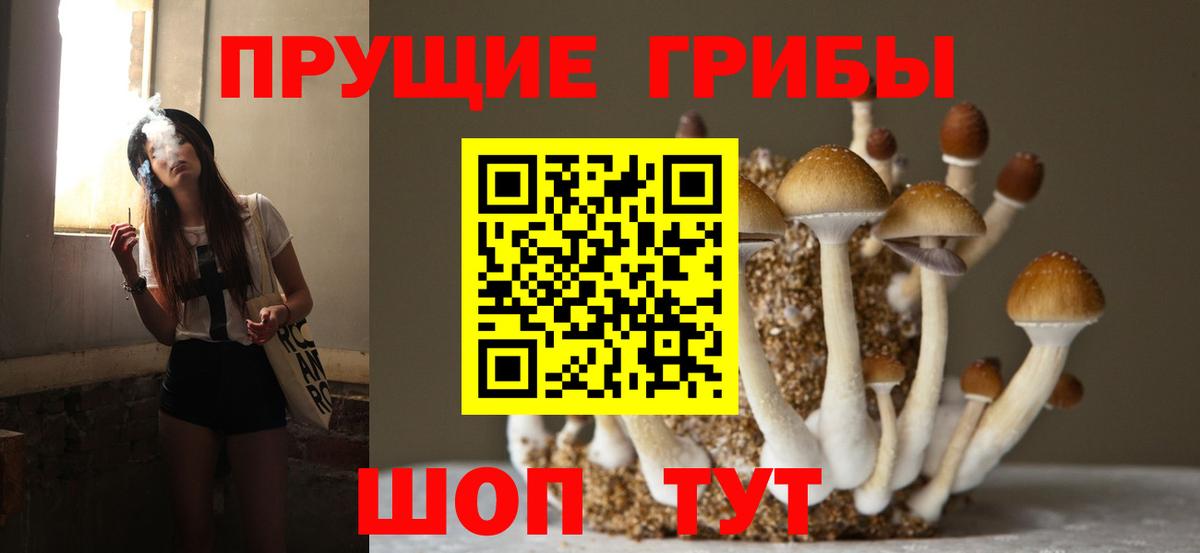 Галлюциногенные грибы ЛСД Сочи